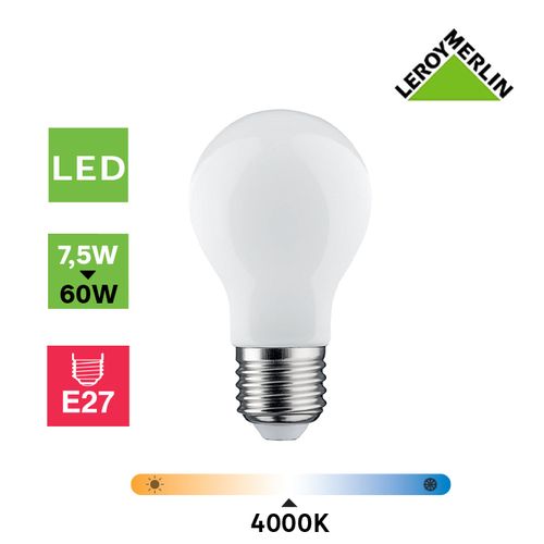 Ampoule LED E27 9W=60W Lumière du jour